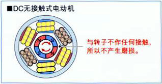 늙C